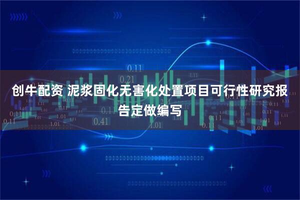 创牛配资 泥浆固化无害化处置项目可行性研究报告定做编写