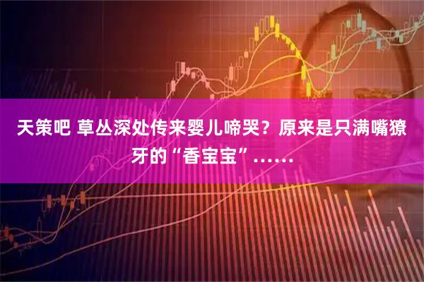 天策吧 草丛深处传来婴儿啼哭？原来是只满嘴獠牙的“香宝宝”……