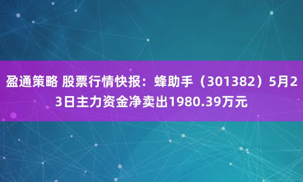 盈通策略 股票行情快报：蜂助手（301382）5月23日主力资金净卖出1980.39万元