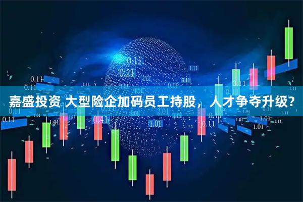嘉盛投资 大型险企加码员工持股，人才争夺升级？