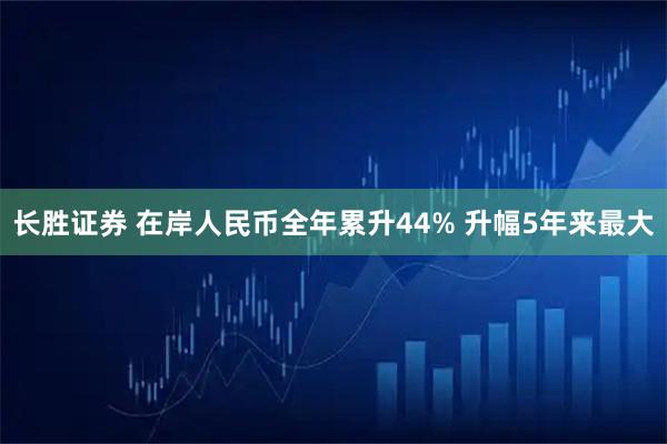 长胜证券 在岸人民币全年累升44% 升幅5年来最大