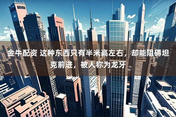 金牛配资 这种东西只有半米高左右，却能阻碍坦克前进，被人称为龙牙