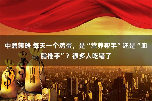 中鼎策略 每天一个鸡蛋，是“营养帮手”还是“血脂推手”？很多人吃错了